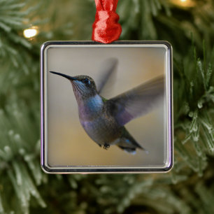 Hummingbird i kulter julgransprydnad metall