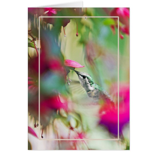 Hummingbird i Lodrät Soft Fuchsia. Hälsningskort (Framsidan)