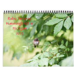 Hummingbird i Michigan Kalender