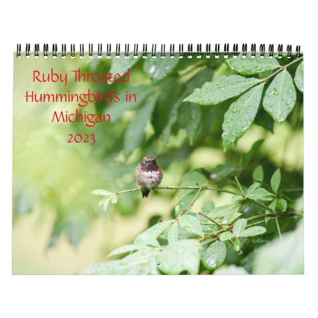 Hummingbird i Michigan Kalender (Omslag)