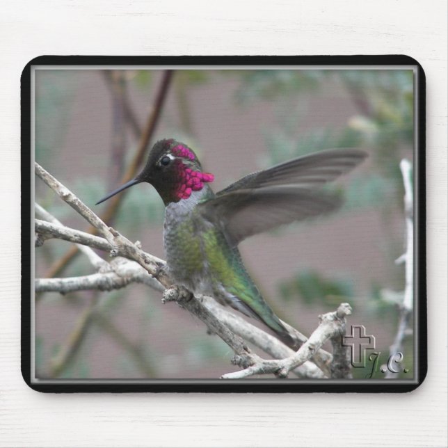 Hummingbird i min bakgård. musmatta (Framsidan)