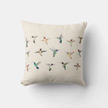 Hummingbird i Nordamerika 