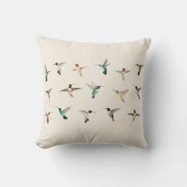 Hummingbird i Nordamerika Kudde