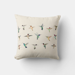 Hummingbird i Nordamerika  Kudde