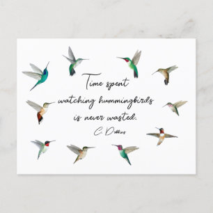 Hummingbird i Nordamerika Vykort