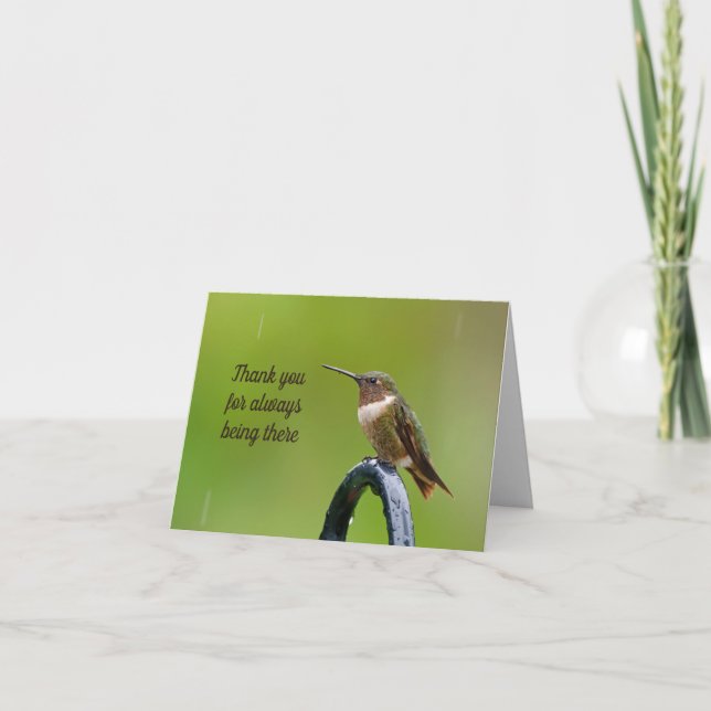 Hummingbird i Rain - tack vare Sympathy Card Kort (Framsida)