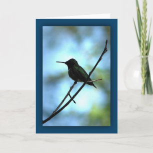 Hummingbird i Silhouette Kort