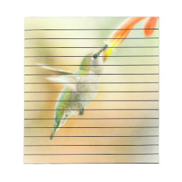 Hummingbird i Tidigt Morgonljus Anteckningsblock