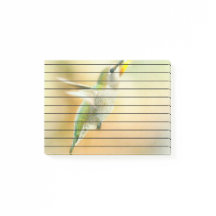 Hummingbird i Tidigt Morgonljus