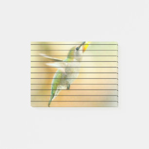 Hummingbird i Tidigt Morgonljus Post-it Block