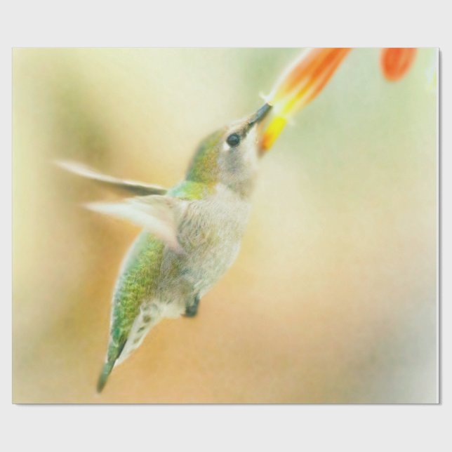Hummingbird i Tidigt Morgonljus Presentpapper (Platt)