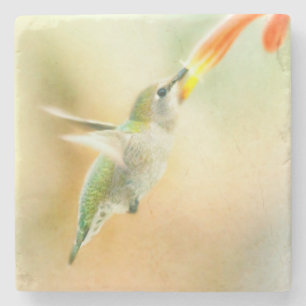 Hummingbird i Tidigt Morgonljus Stenunderlägg