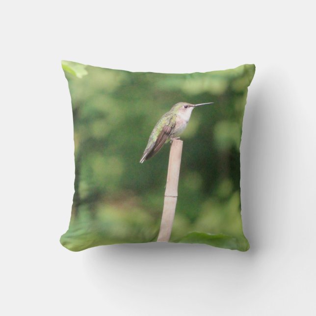 Hummingbird Inspired Design Kudde (Framsida)
