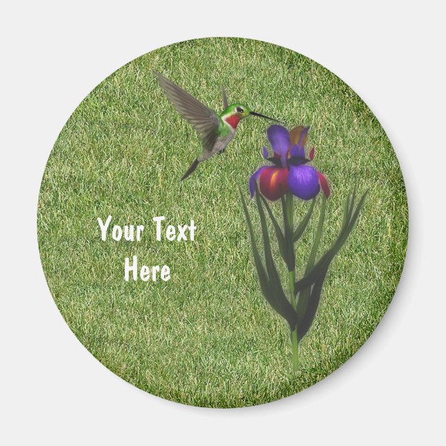 Hummingbird Iris Flower Magnet (Framsidan)