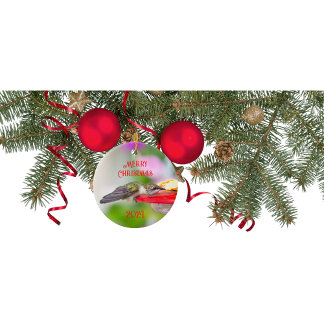 Hummingbird jul Ornament