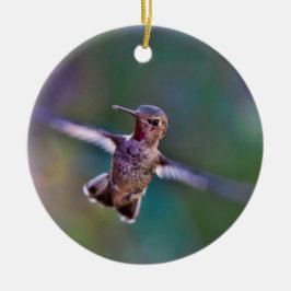 Hummingbird Julgransprydnad Keramik