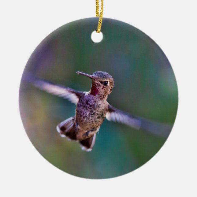 Hummingbird Julgransprydnad Keramik (Framsidan)