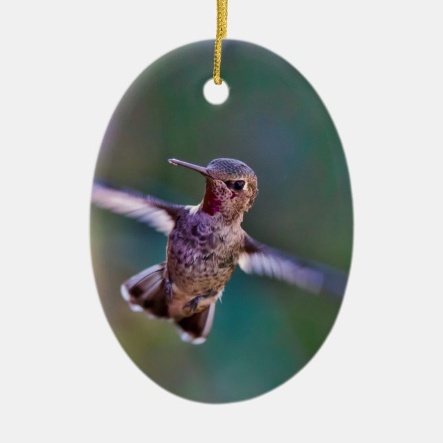 Hummingbird Julgransprydnad Keramik (Framsidan)