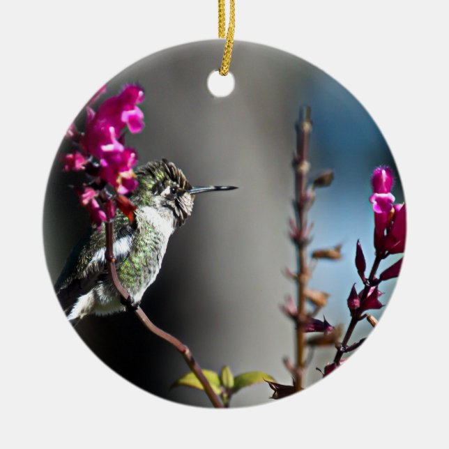 Hummingbird Julgransprydnad Keramik (Framsidan)
