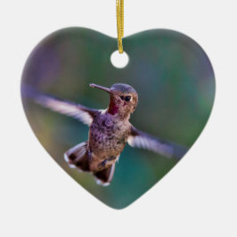 Hummingbird Julgransprydnad Keramik