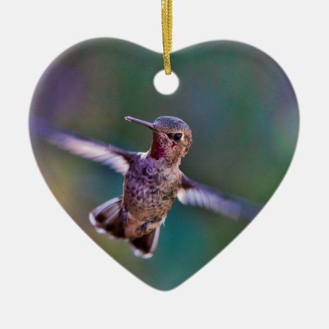 Hummingbird Julgransprydnad Keramik (Framsidan)