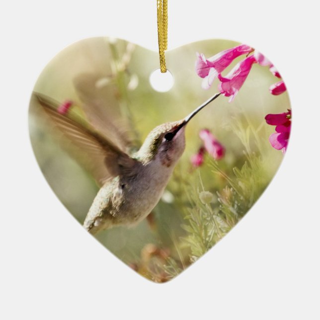 Hummingbird Julgransprydnad Keramik (Framsidan)