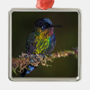 Hummingbird Julgransprydnad Metall