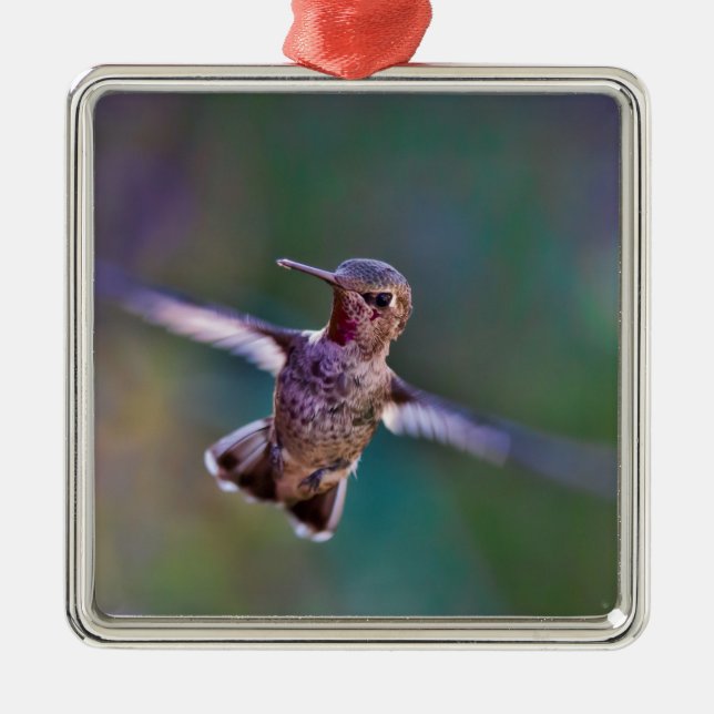 Hummingbird Julgransprydnad Metall (Framsidan)