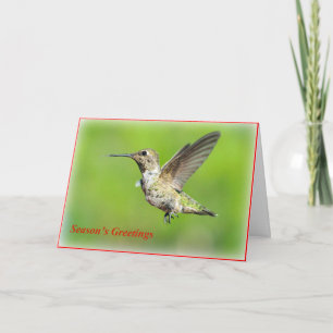 Hummingbird-julhälsningskort Helgkort