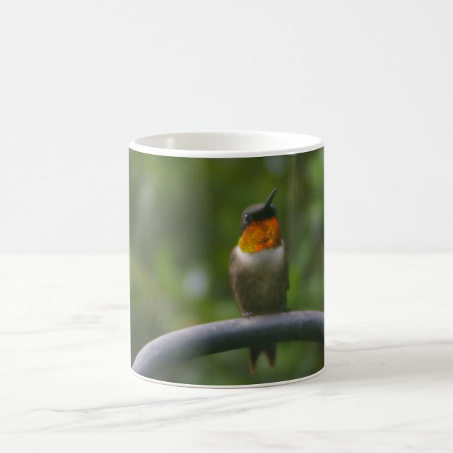 Hummingbird Kaffemugg (Center)