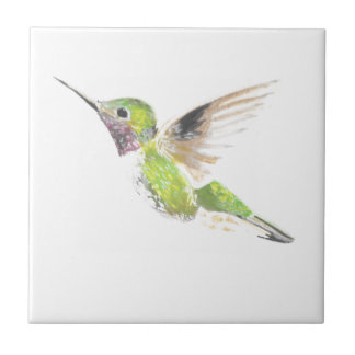 Hummingbird Kakelplatta