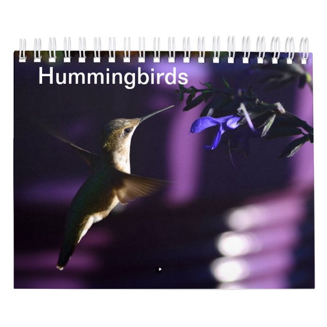Hummingbird Kalender (Omslag)