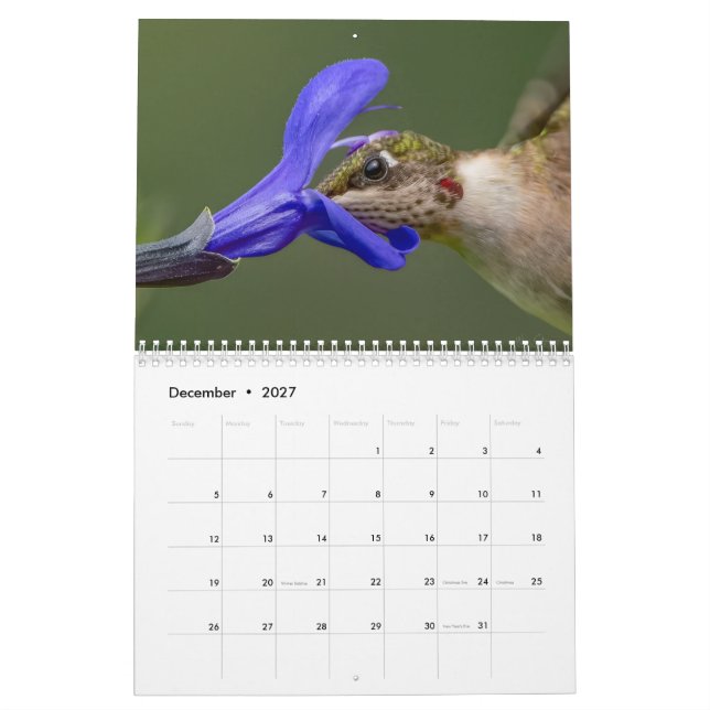 Hummingbird-kalender med unika bilder kalender (Dec 2027)