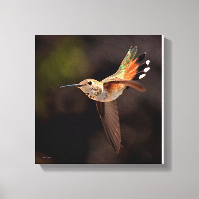 Hummingbird Kanvastryck (Framsida)