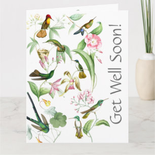 Hummingbird kommer snart från oss alla. kort