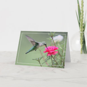 Hummingbird Kort