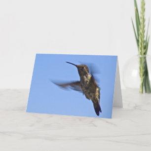 Hummingbird Kort