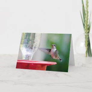Hummingbird Kort