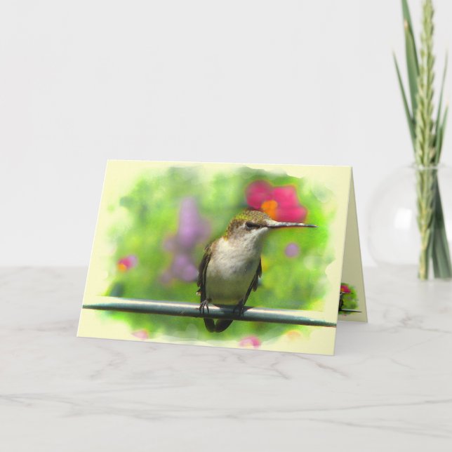 Hummingbird Kort (Framsida)