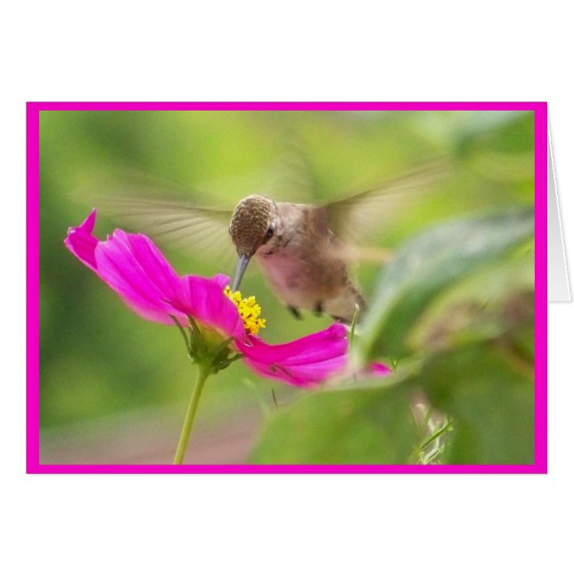 Hummingbird-kort Hälsningskort (Framsidan Horizontal)