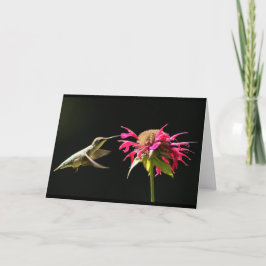 Hummingbird-kort Kort
