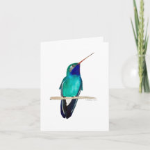 Hummingbird-kort