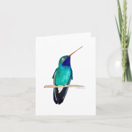 Hummingbird-kort Kort