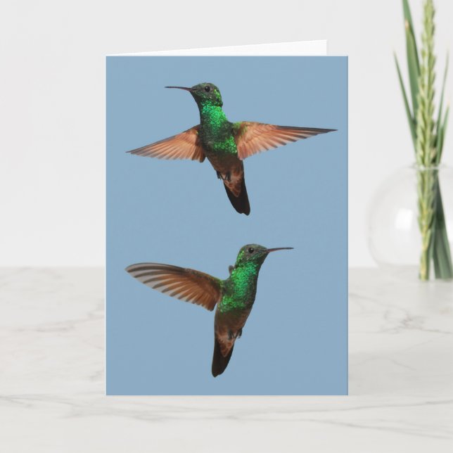 Hummingbird-kort Kort (Framsida)