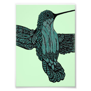 Hummingbird - kricka fototryck