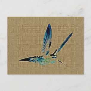 Hummingbird Kung-vykort Vykort