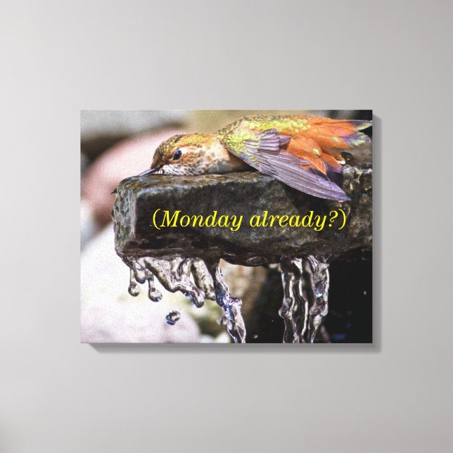 Hummingbird Läggning i Vatten Canvastryck (Framsida)