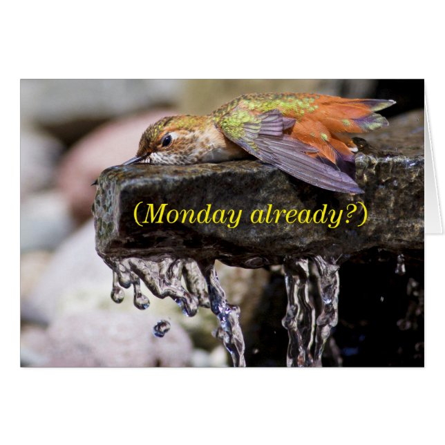 Hummingbird Läggning i Vatten Hälsningskort (Framsidan Horizontal)