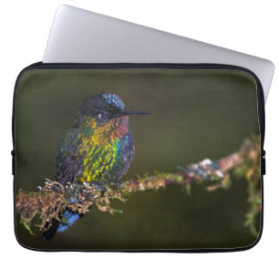 Hummingbird Laptop Fodral