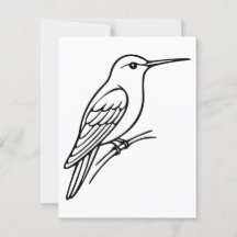 Hummingbird Line Art - Bird Illustration